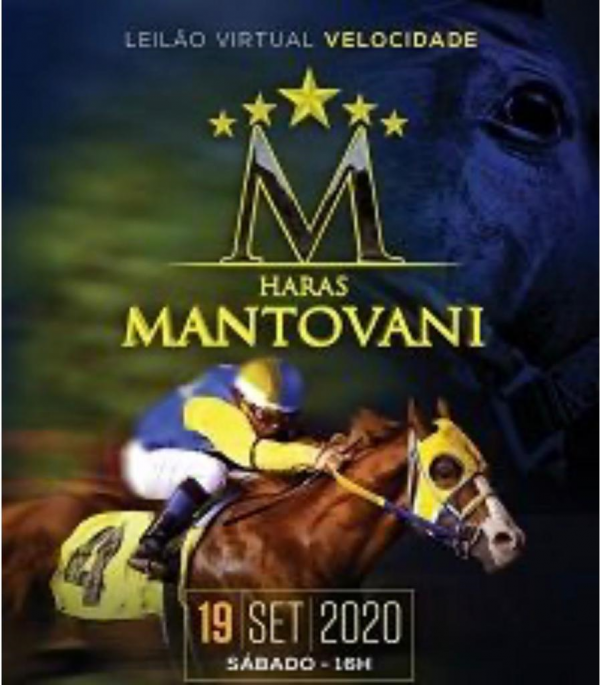 Leilão Virtual Velocidade Haras Mantovani