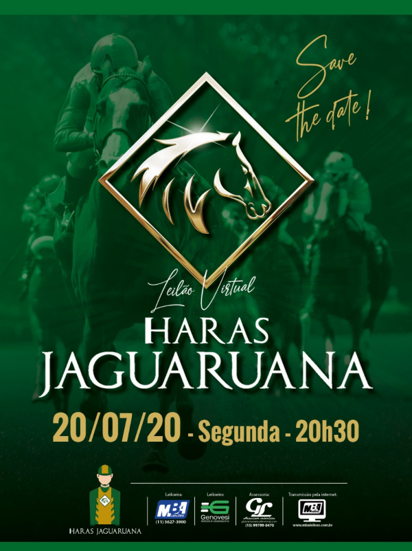 LEILÃO VIRTUAL HARAS JAGUARUANA