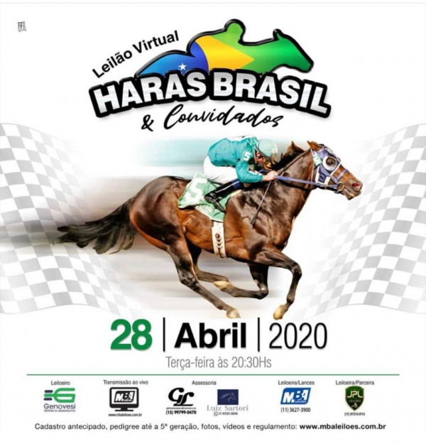 2º Leilão Haras Brasil e Convidados