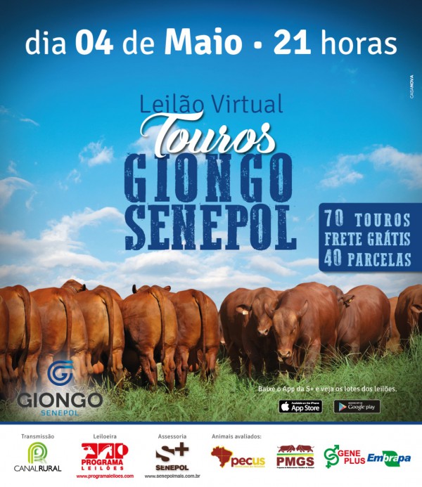 LEILÃO VIRTUAL TOUROS SENEPOL GIONGO