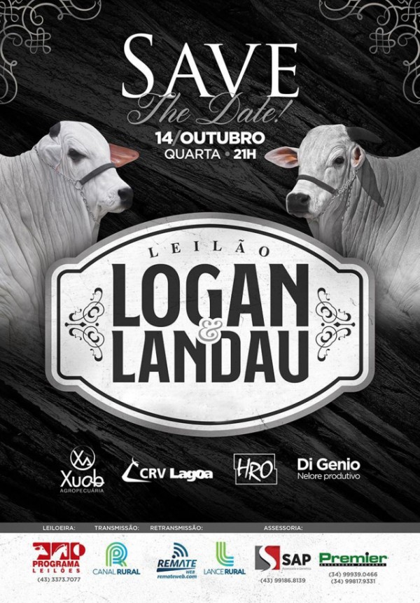 Leilão Landau & Logan