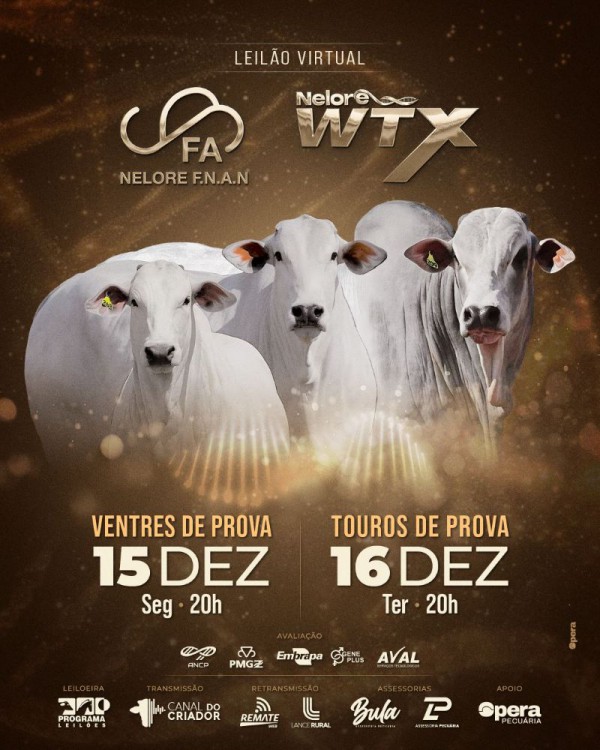 Leilão Virtual Nelore F.N.A.N e Nelore WTX - Touros de Prova