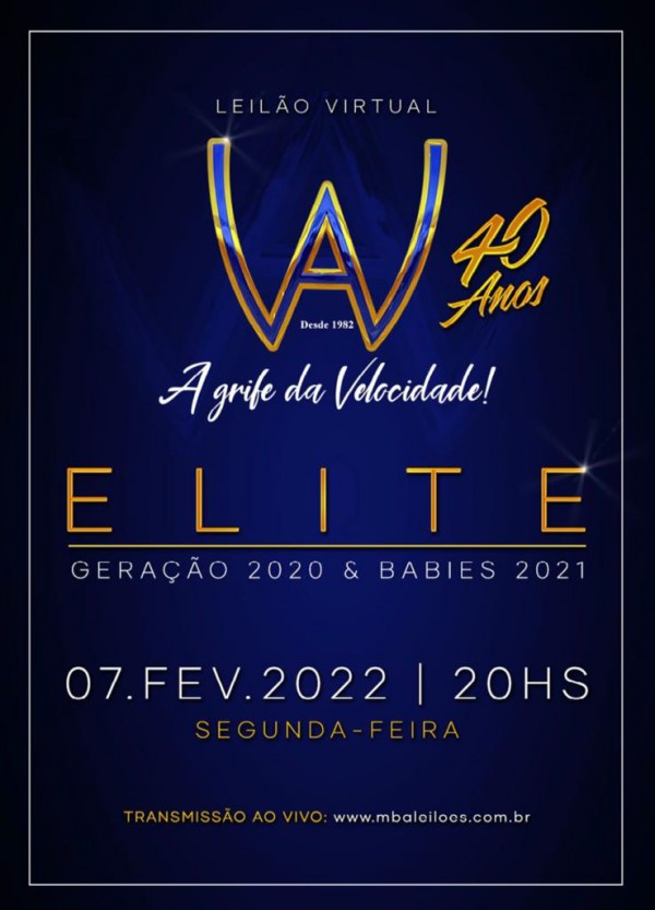 LEILÃO VIRTUAL ELITE - GERAÇÃO 2020 & BABIES 2021