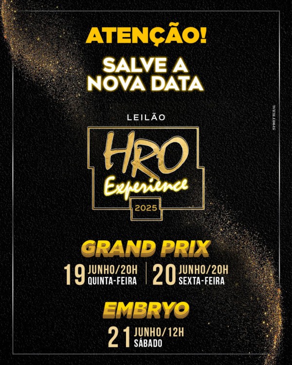 Leilão Gran Prix HRO Experience