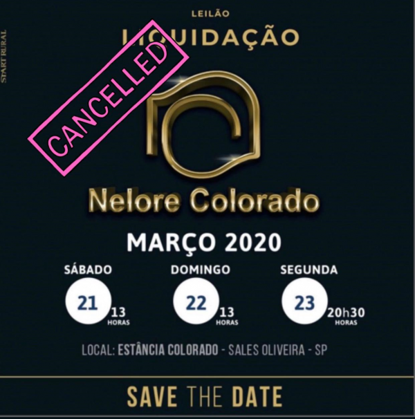Leilão Nelore Colorado - 1ª edição