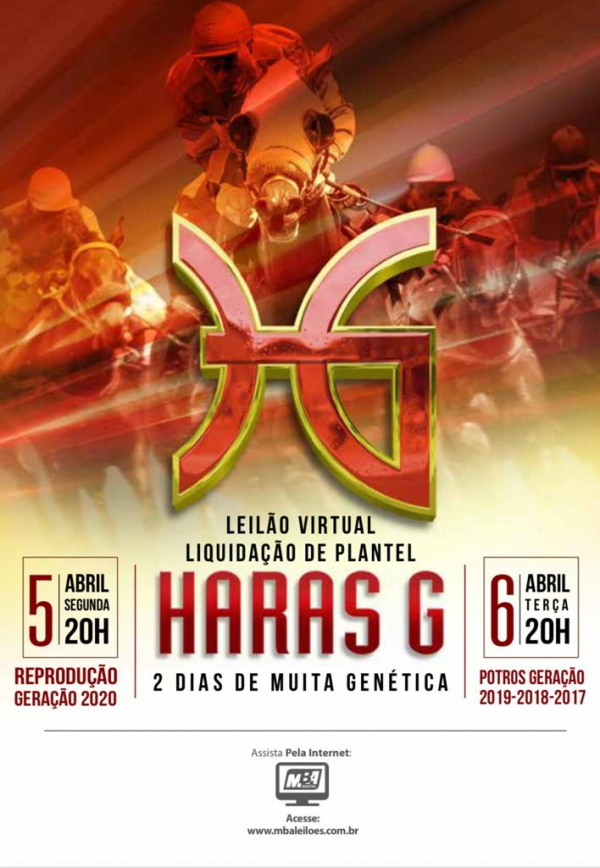 LEILÃO LIQUIDAÇÃO DE PLANTEL HARAS G - GERAÇÃO