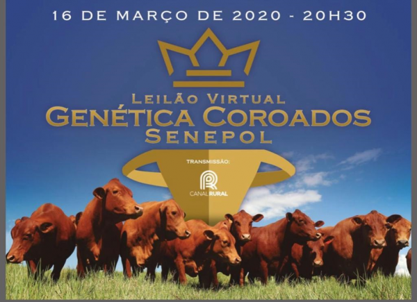 Leilão Virtual Genética Coroados